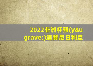 2022非洲杯預(yù)選賽尼日利亞