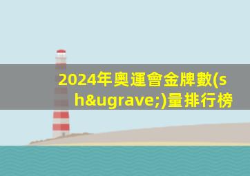2024年奧運會金牌數(shù)量排行榜