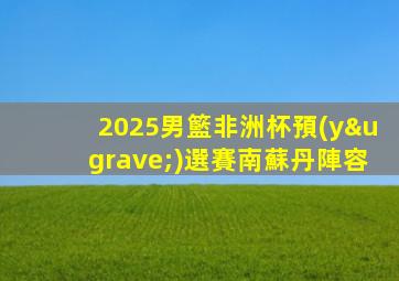 2025男籃非洲杯預(yù)選賽南蘇丹陣容