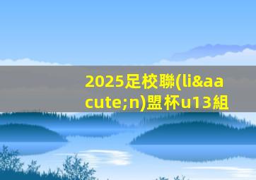 2025足校聯(lián)盟杯u13組