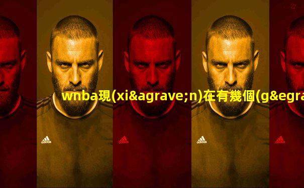 wnba現(xiàn)在有幾個(gè)中國球員