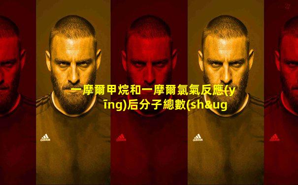 一摩爾甲烷和一摩爾氯氣反應(yīng)后分子總數(shù)