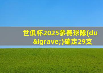 世俱杯2025參賽球隊(duì)確定29支