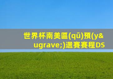 世界杯南美區(qū)預(yù)選賽賽程DS