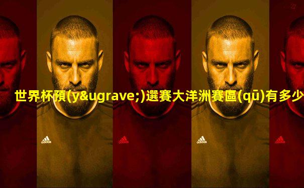 世界杯預(yù)選賽大洋洲賽區(qū)有多少支球隊幾個組