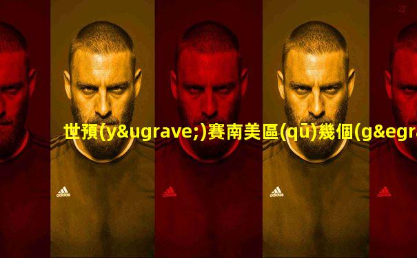 世預(yù)賽南美區(qū)幾個(gè)出線名額