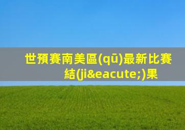 世預賽南美區(qū)最新比賽結(jié)果
