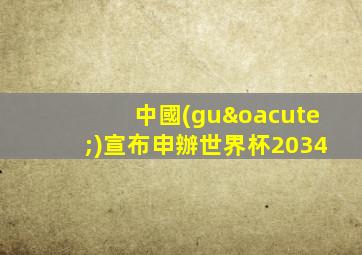 中國(guó)宣布申辦世界杯2034