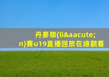 丹麥聯(lián)賽u19直播回放在線觀看
