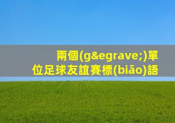 兩個(gè)單位足球友誼賽標(biāo)語