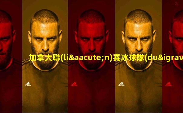 加拿大聯(lián)賽冰球隊(duì)排名第幾