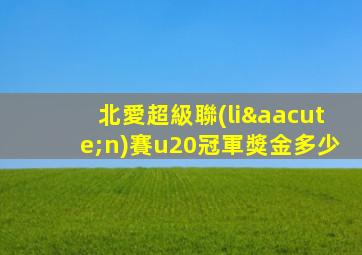 北愛超級聯(lián)賽u20冠軍獎金多少