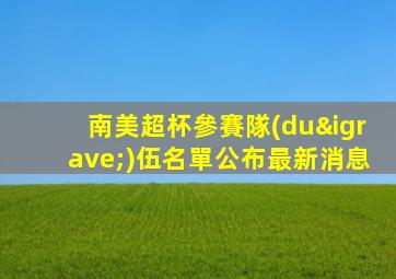 南美超杯參賽隊(duì)伍名單公布最新消息