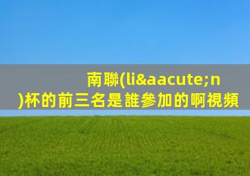 南聯(lián)杯的前三名是誰參加的啊視頻