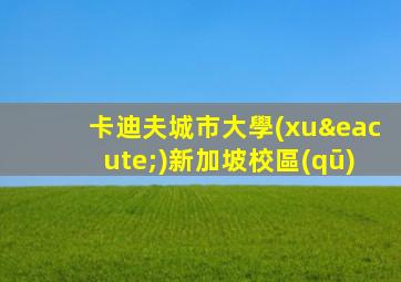 卡迪夫城市大學(xué)新加坡校區(qū)