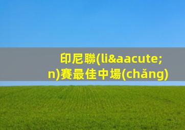 印尼聯(lián)賽最佳中場(chǎng)