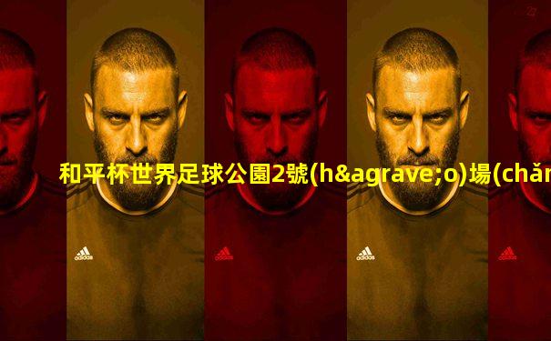 和平杯世界足球公園2號(hào)場(chǎng)地