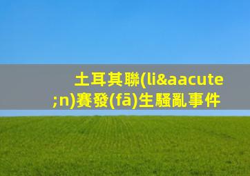 土耳其聯(lián)賽發(fā)生騷亂事件