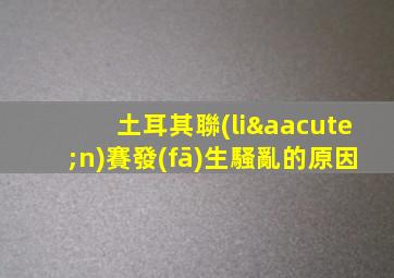 土耳其聯(lián)賽發(fā)生騷亂的原因