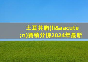 土耳其聯(lián)賽積分榜2024年最新