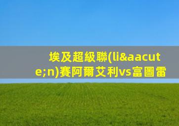埃及超級聯(lián)賽阿爾艾利vs富圖雷