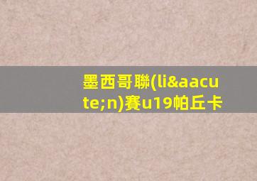 墨西哥聯(lián)賽u19帕丘卡