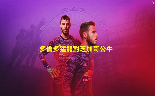 多倫多猛龍對芝加哥公牛
