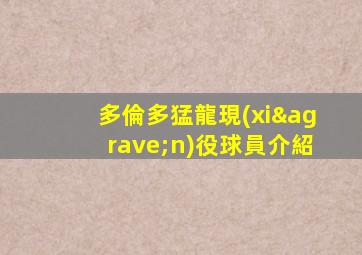 多倫多猛龍現(xiàn)役球員介紹