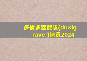 多倫多猛龍隊(duì)球員2024