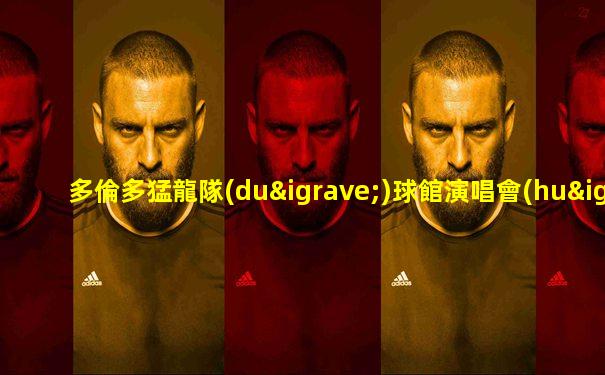 多倫多猛龍隊(duì)球館演唱會(huì)