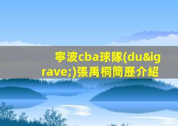 寧波cba球隊(duì)張禹桐簡歷介紹