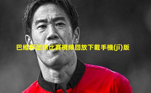 巴維杯足球比賽視頻回放下載手機(jī)版