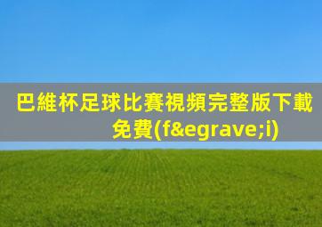 巴維杯足球比賽視頻完整版下載免費(fèi)