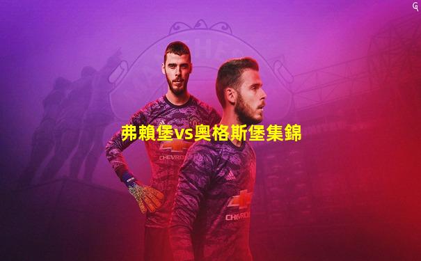 弗賴堡vs奧格斯堡集錦