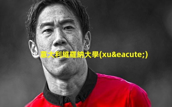 意大利維羅納大學(xué)