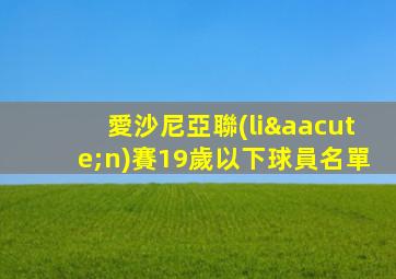 愛沙尼亞聯(lián)賽19歲以下球員名單