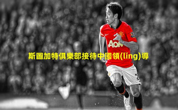 斯圖加特俱樂部接待中國領(lǐng)導
