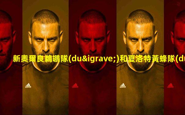 新奧爾良鵜鶘隊(duì)和夏洛特黃蜂隊(duì)
