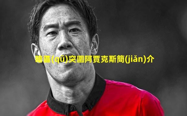 暗區(qū)突圍阿賈克斯簡(jiǎn)介
