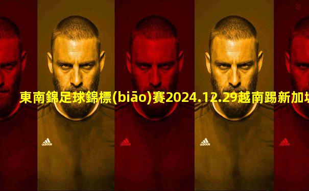 東南錦足球錦標(biāo)賽2024.12.29越南踢新加坡