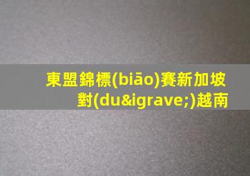 東盟錦標(biāo)賽新加坡對(duì)越南