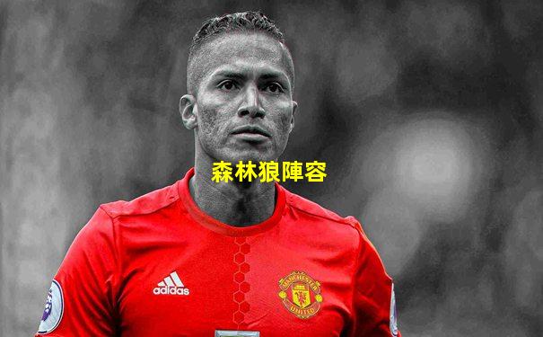 森林狼陣容