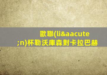 歐聯(lián)杯勒沃庫森對卡拉巴赫