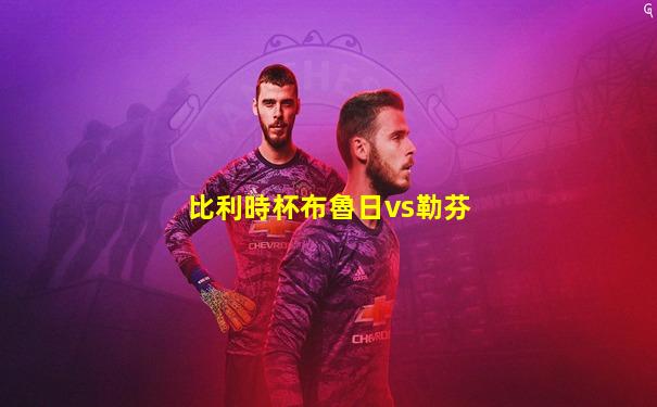 比利時杯布魯日vs勒芬
