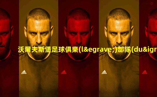 沃爾夫斯堡足球俱樂(lè)部隊(duì)徽