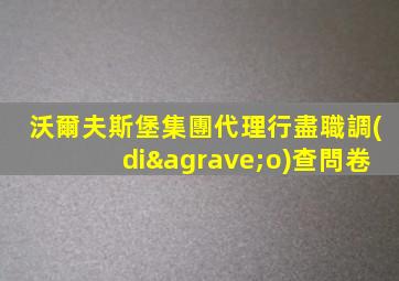 沃爾夫斯堡集團代理行盡職調(diào)查問卷