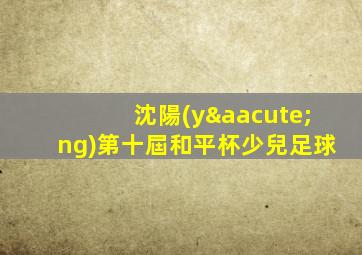 沈陽(yáng)第十屆和平杯少兒足球