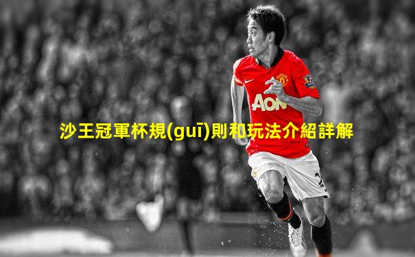 沙王冠軍杯規(guī)則和玩法介紹詳解