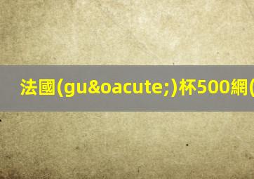 法國(guó)杯500網(wǎng)
