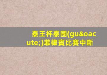 泰王杯泰國(guó)菲律賓比賽中斷
